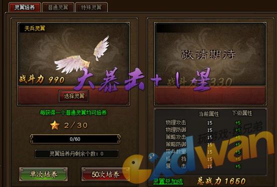 灵翼培养